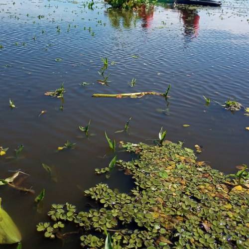 excursión en bote en los esteros